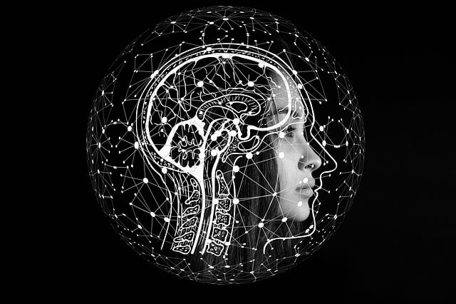 AI & SEO